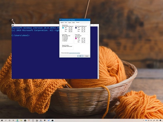 How to Manage Command Prompt Using Terminal Tab on Windows 10?