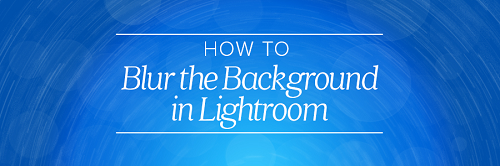 How To Blur Backgrounds With Adobe Lightroom On Your Phone.png