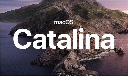 How to Access iCloud Settings and Apple ID in macOS Catalina