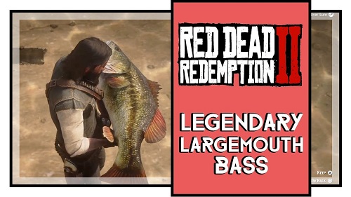 Red Dead Redemption 2: Where to Find and Get Legendary Largemouth Bass